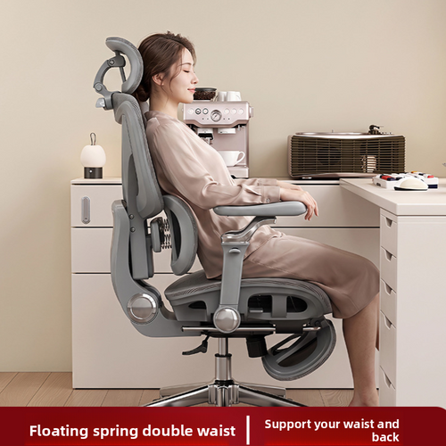 Ergonomic Office Chair with Lumbar Support