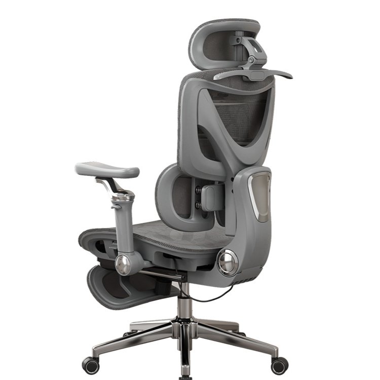Ergonomic Office Chair with Lumbar Support