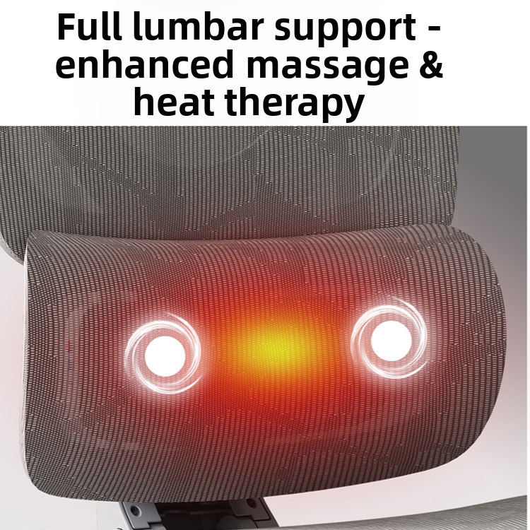 Ergonomic Office Chair with Lumbar Support
