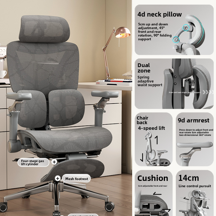 Ergonomic Office Chair with Lumbar Support