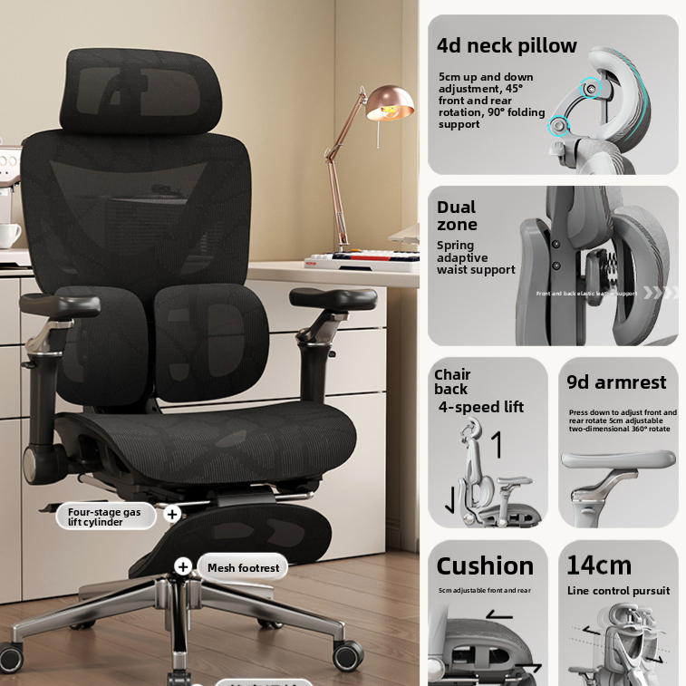 Ergonomic Office Chair with Lumbar Support